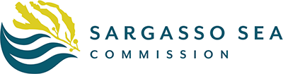 Sargasso Donation